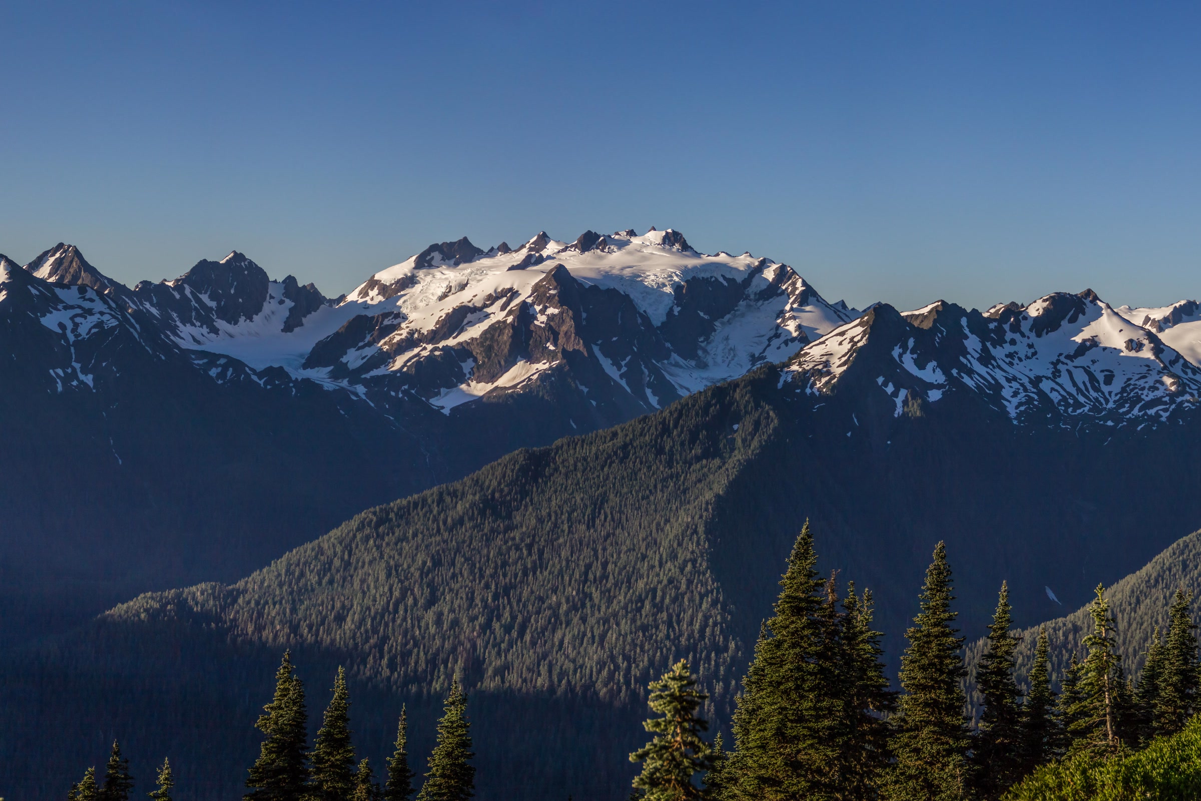 Snow-covered Mount Olympus and the Blue Glacier rise above the forested Hoh River valley, seen at dawn from the High Divide