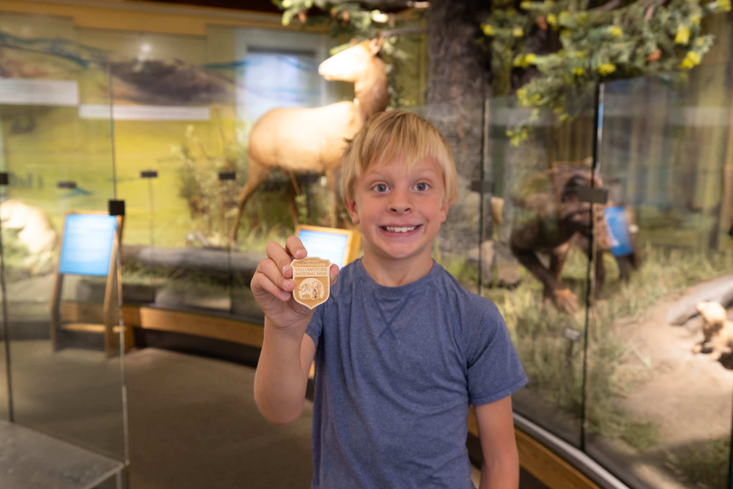 A smiling boy holds up a new wooden Junior Ranger badge in front of a museum exhibit with a mounted elk