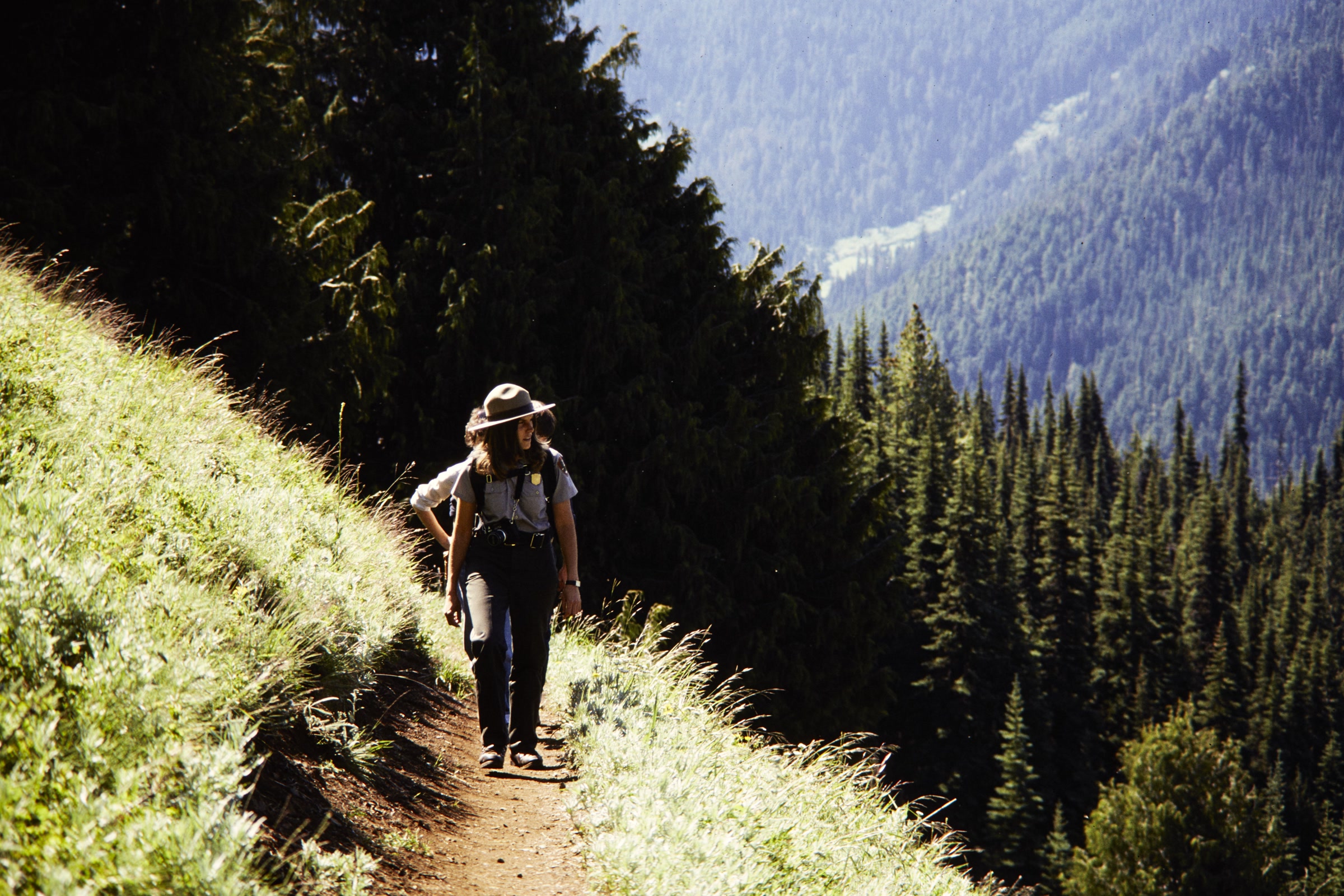 Historic photo of a National Park Service ranger in a flat hat leading a tour up a sunlit dirt trail on a forested mountainside in Olympic National Park