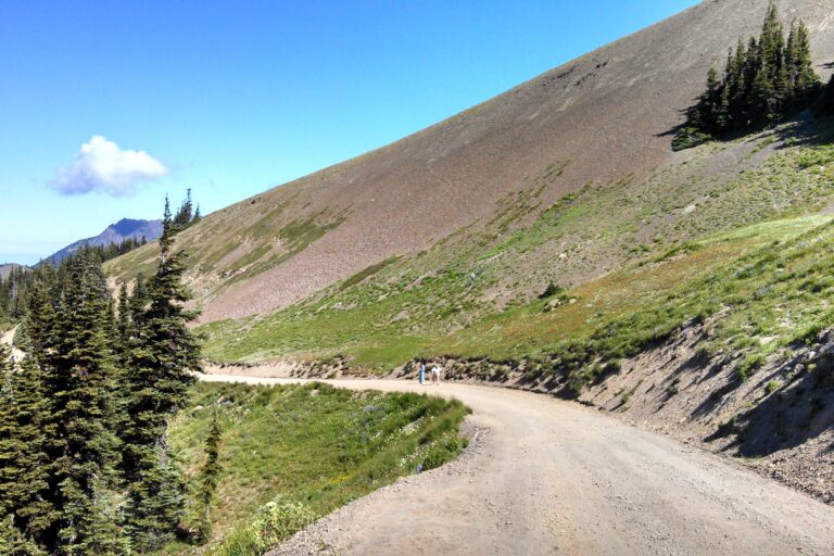 Deer Park and Obstruction Point: The High Roads