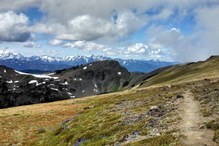 Best Time to Visit Olympic National Park by Season