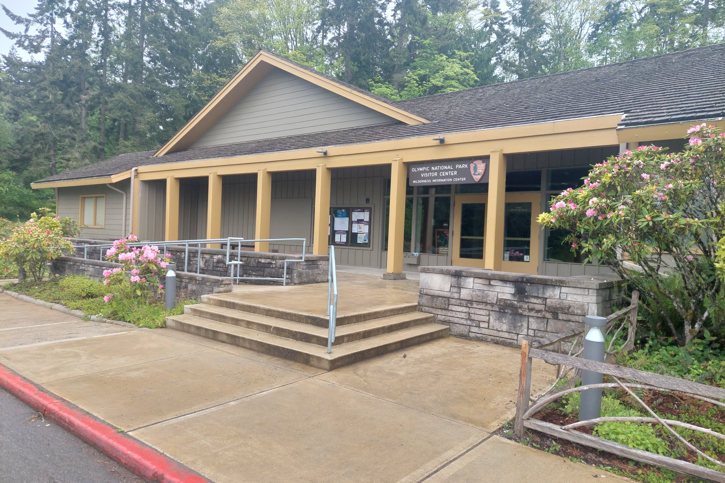 The Olympic National Park Visitor Center in Port Angeles, a low building with a peaked roof, yellow porch posts and wide entry steps framed by pink rhododendrons and tall conifers