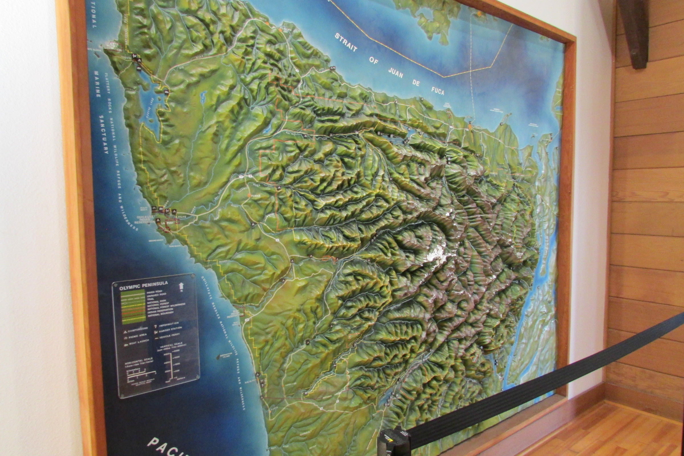 A large raised relief map of the Olympic Peninsula with green mountains and blue coastline, mounted on a wood-panelled wall in the visitor center