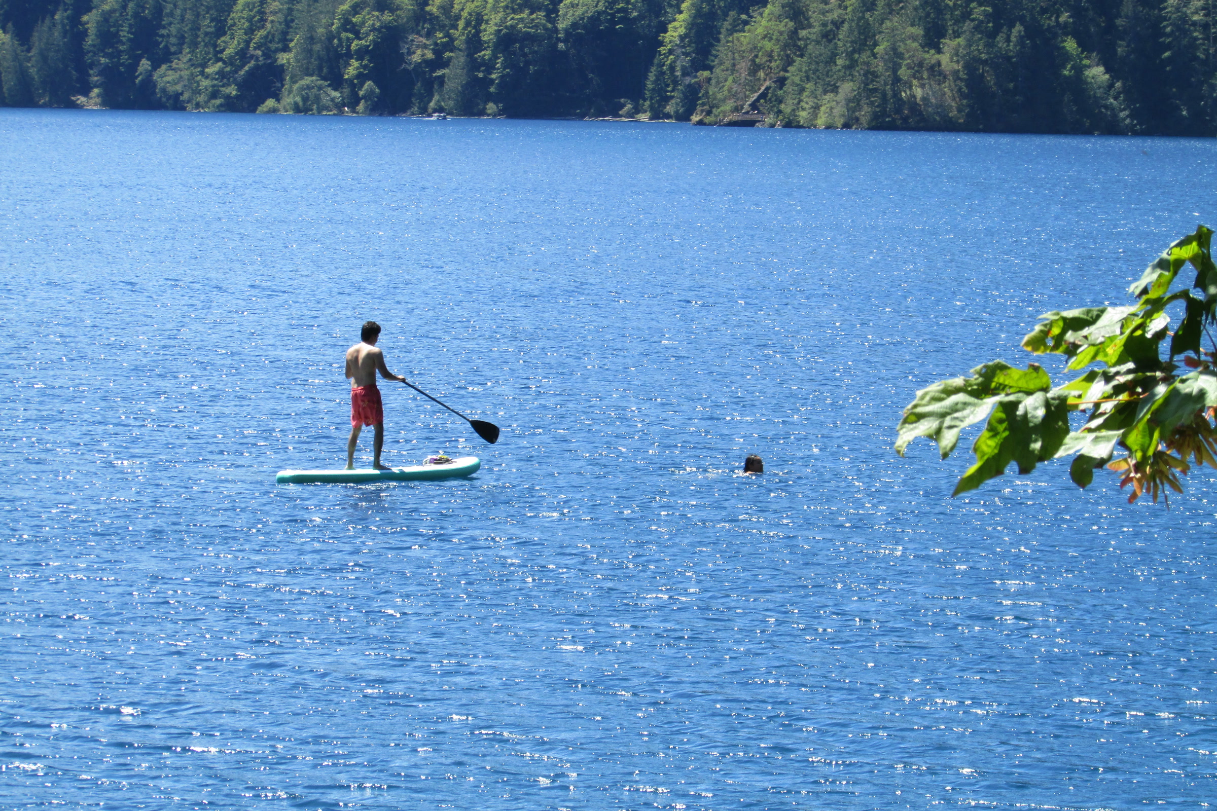 A paddleboarder seen from behind, standing on a board on sparkling blue Lake Crescent near the north shore