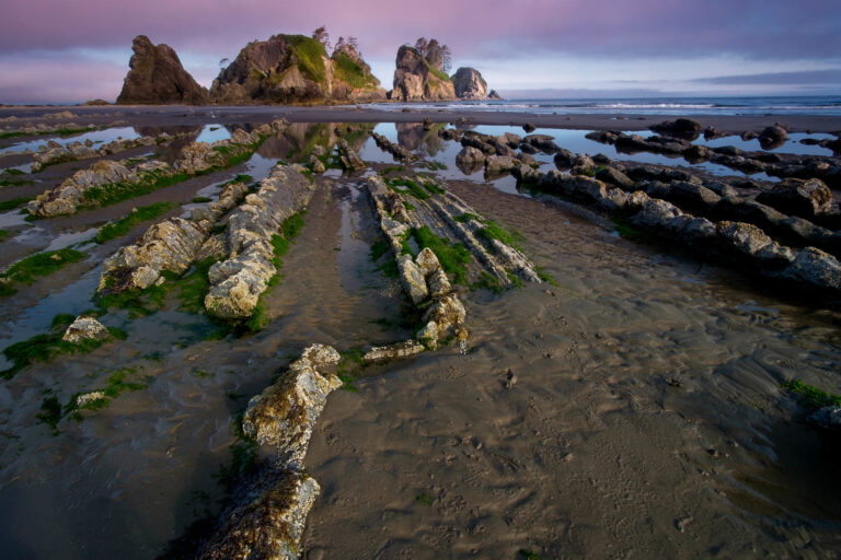 Shi Shi Beach and Point of the Arches: A Hiking Guide