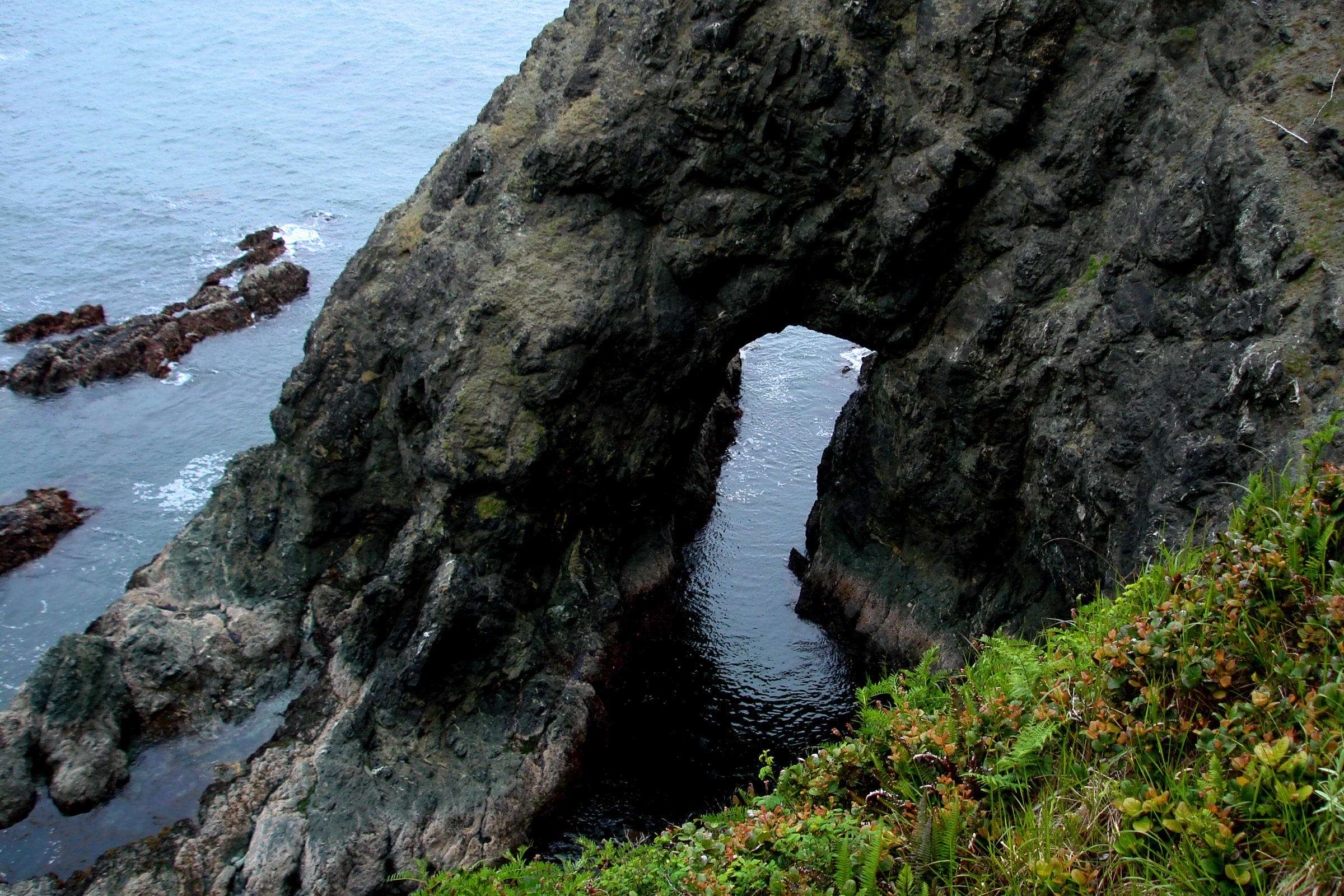 A dark sea arch in a rocky headland at Point of the Arches, seen from a grassy slope above the ocean near Shi Shi Beach