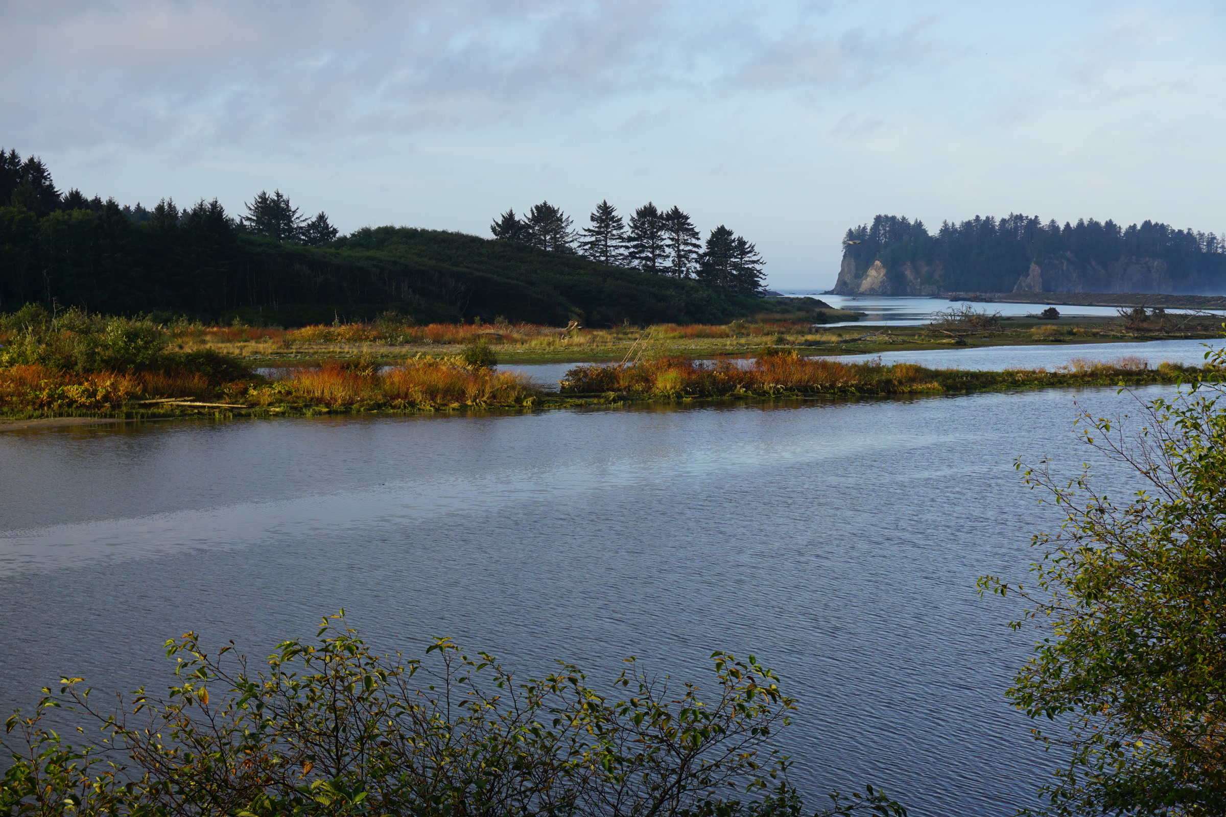 Orange and gold autumn shrubs lining the calm Quillayute River estuary near the coast, with forested islands beyond