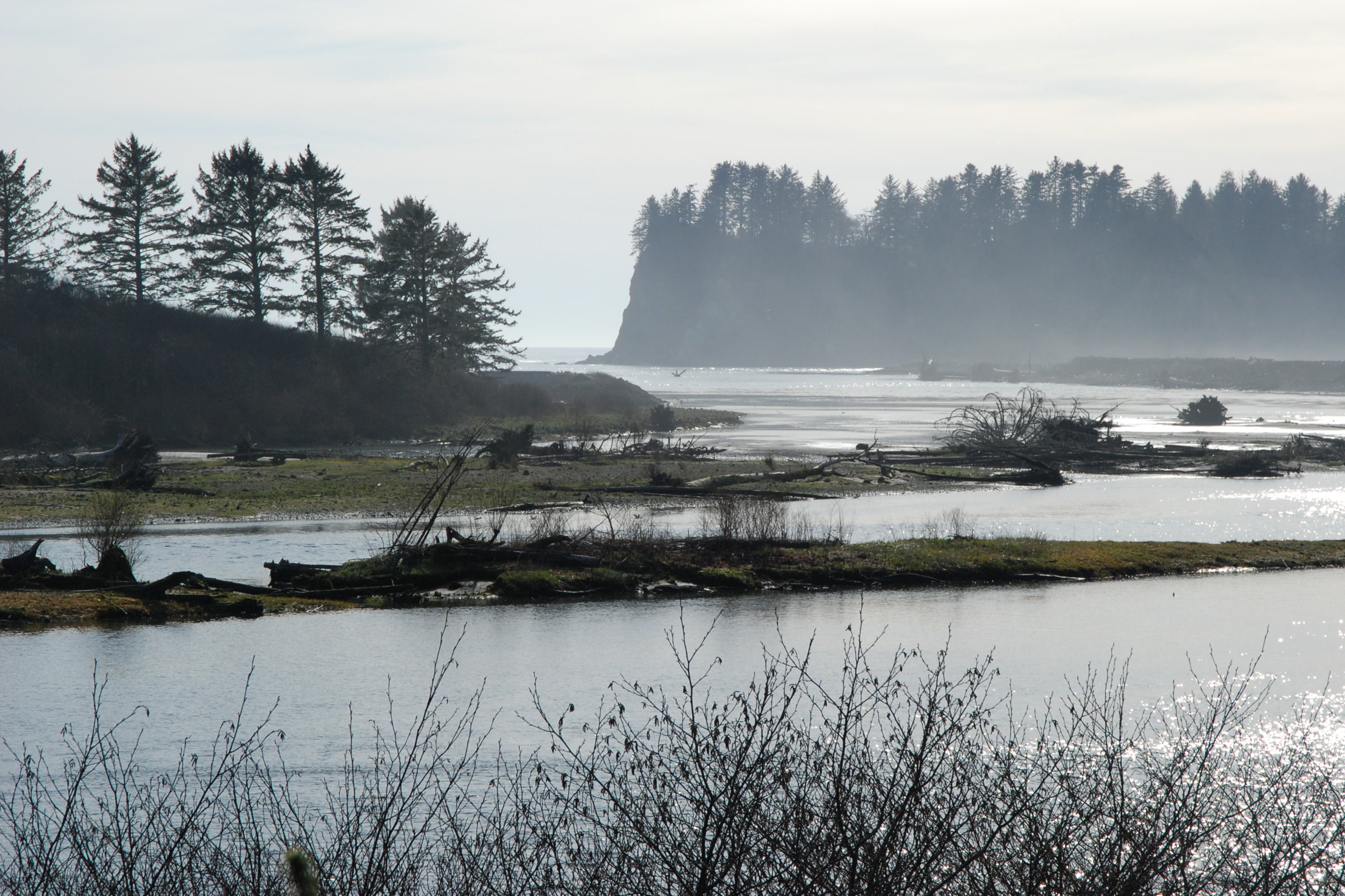 The calm lower Quillayute River beside Rialto Beach, with drift logs on a gravel bar and a misty forested island beyond