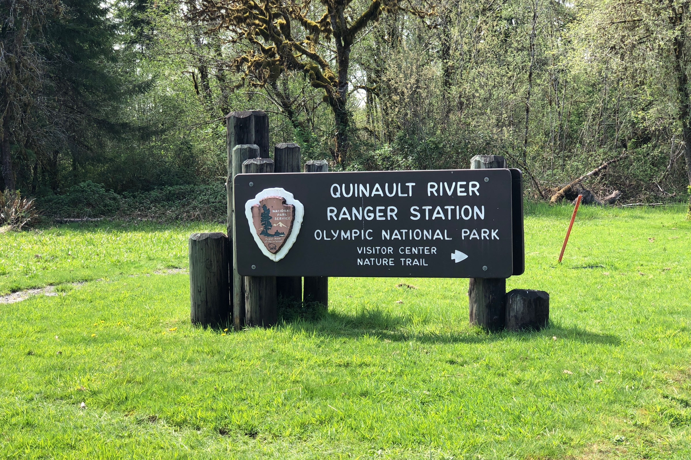 Quinault River Ranger Station sign for Olympic National Park on a green lawn, pointing to the visitor center and nature trail