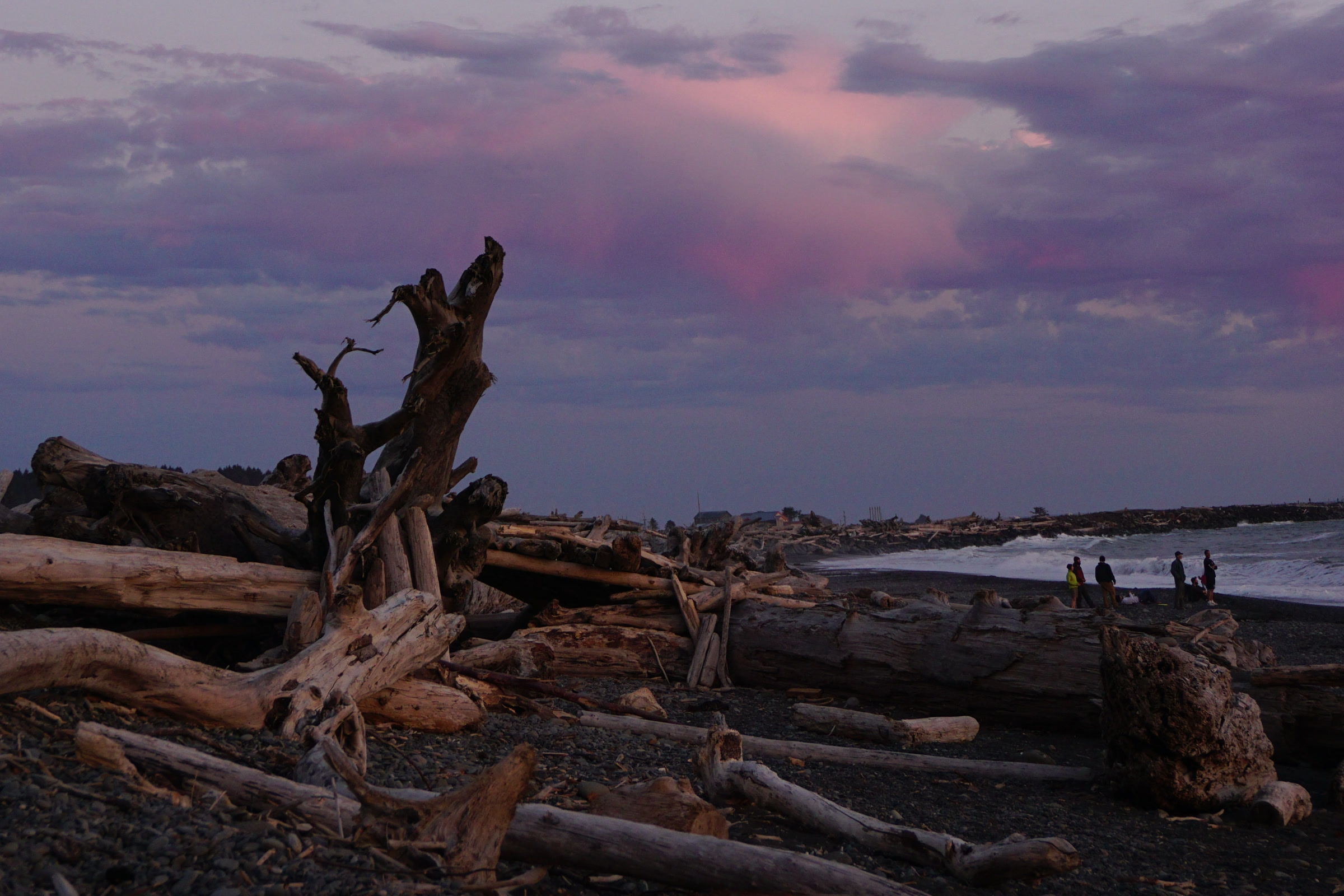 Weathered driftwood logs on Rialto Beach under pink and violet dusk clouds, with distant walkers at the edge of the surf