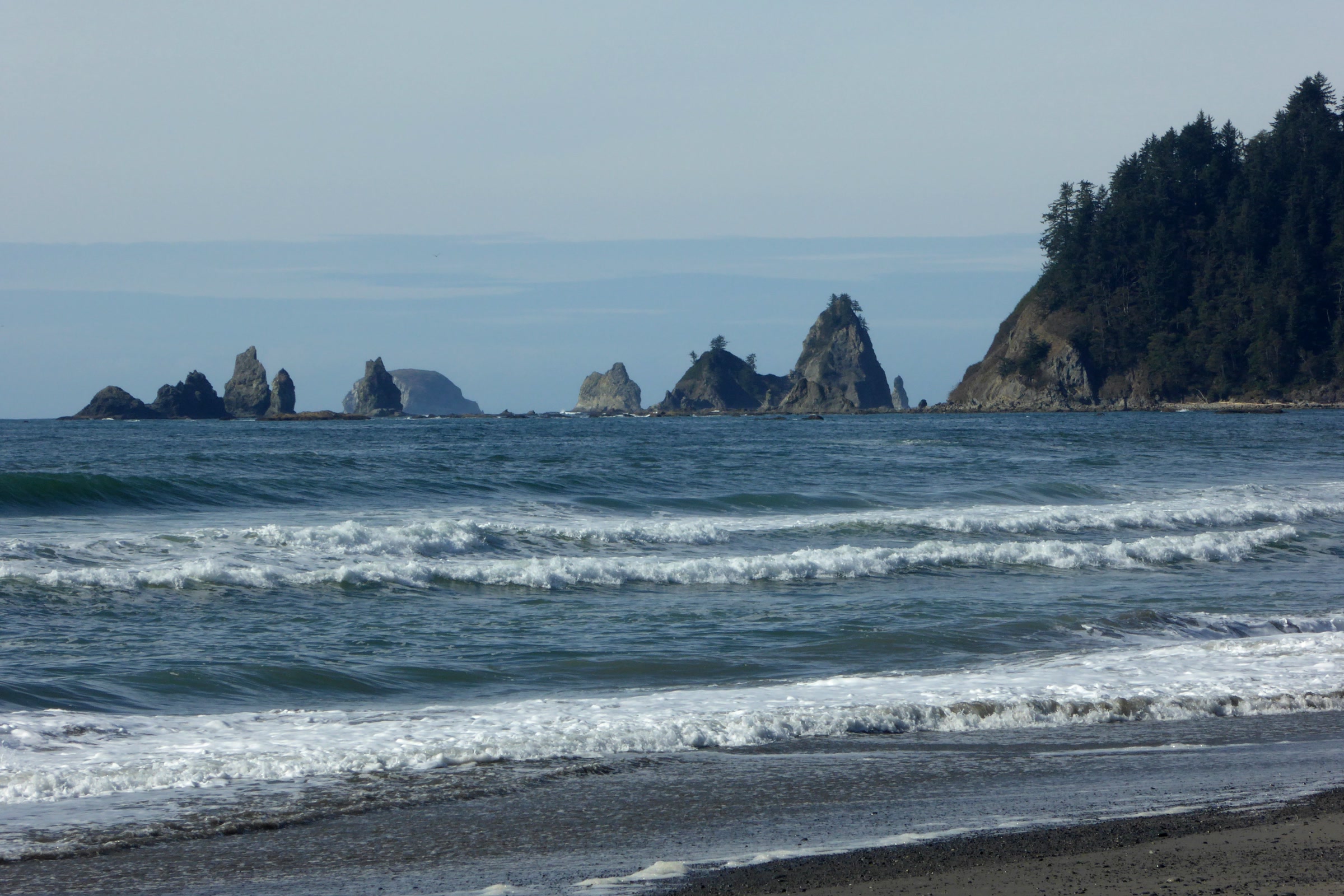 Surf rolling onto Rialto Beach in Olympic National Park, with a row of sea stacks and a forested headland offshore