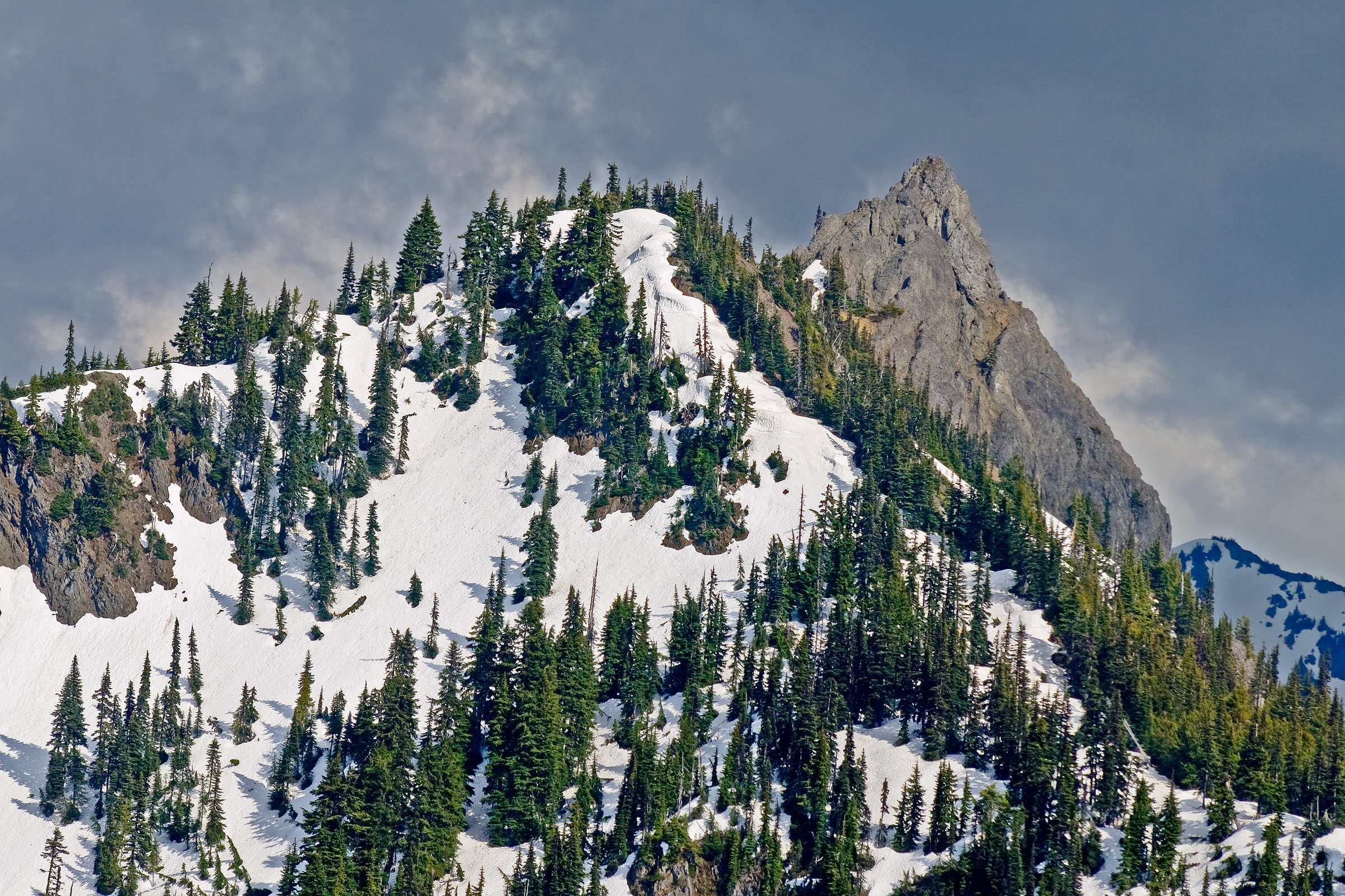 A rocky peak and fir dotted slopes still deep in snow at Hurricane Ridge at the end of May
