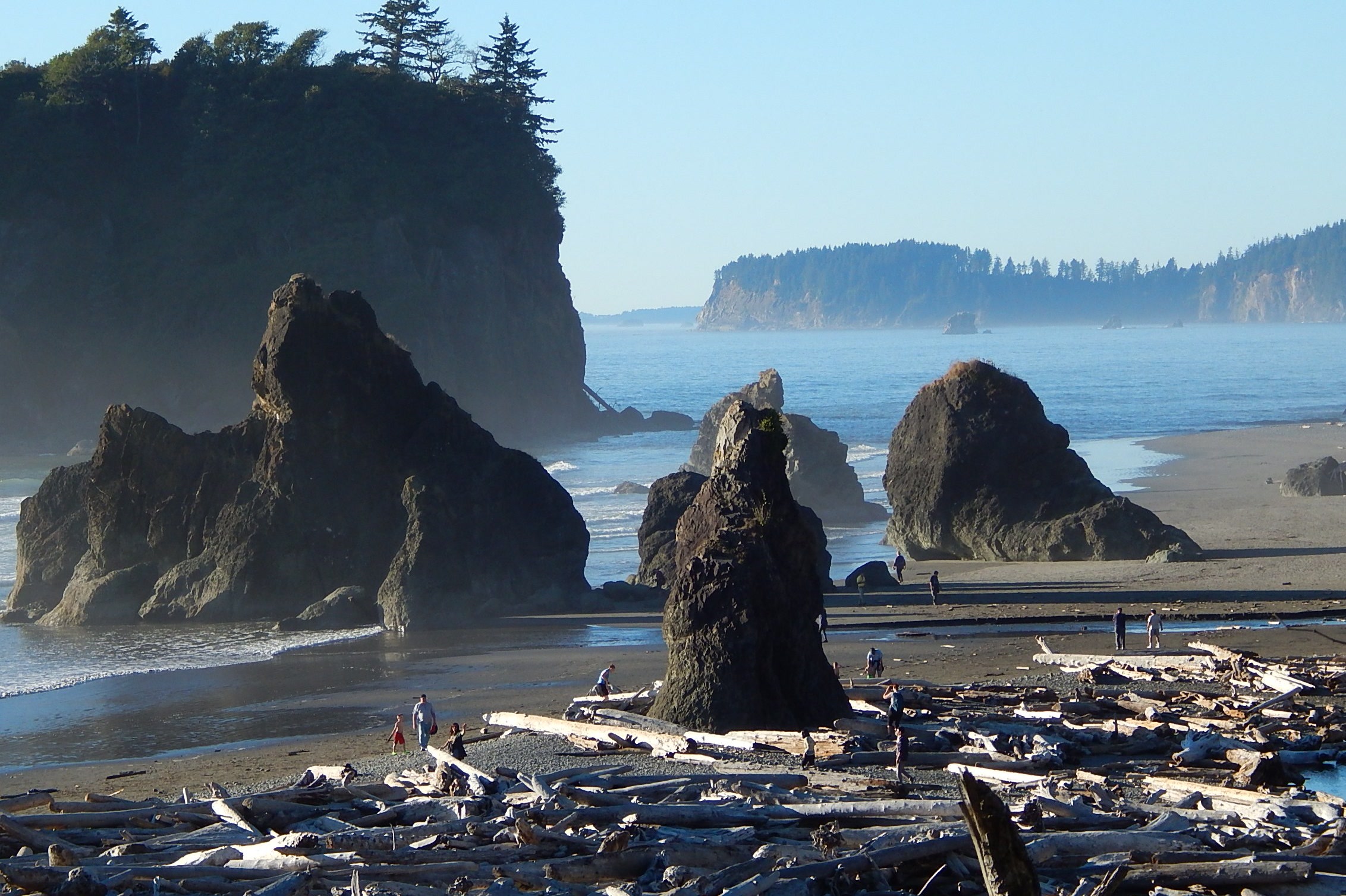 Dark sea stacks standing on the sand at Ruby Beach behind a pile of drift logs, with a forested bluff and a distant headland