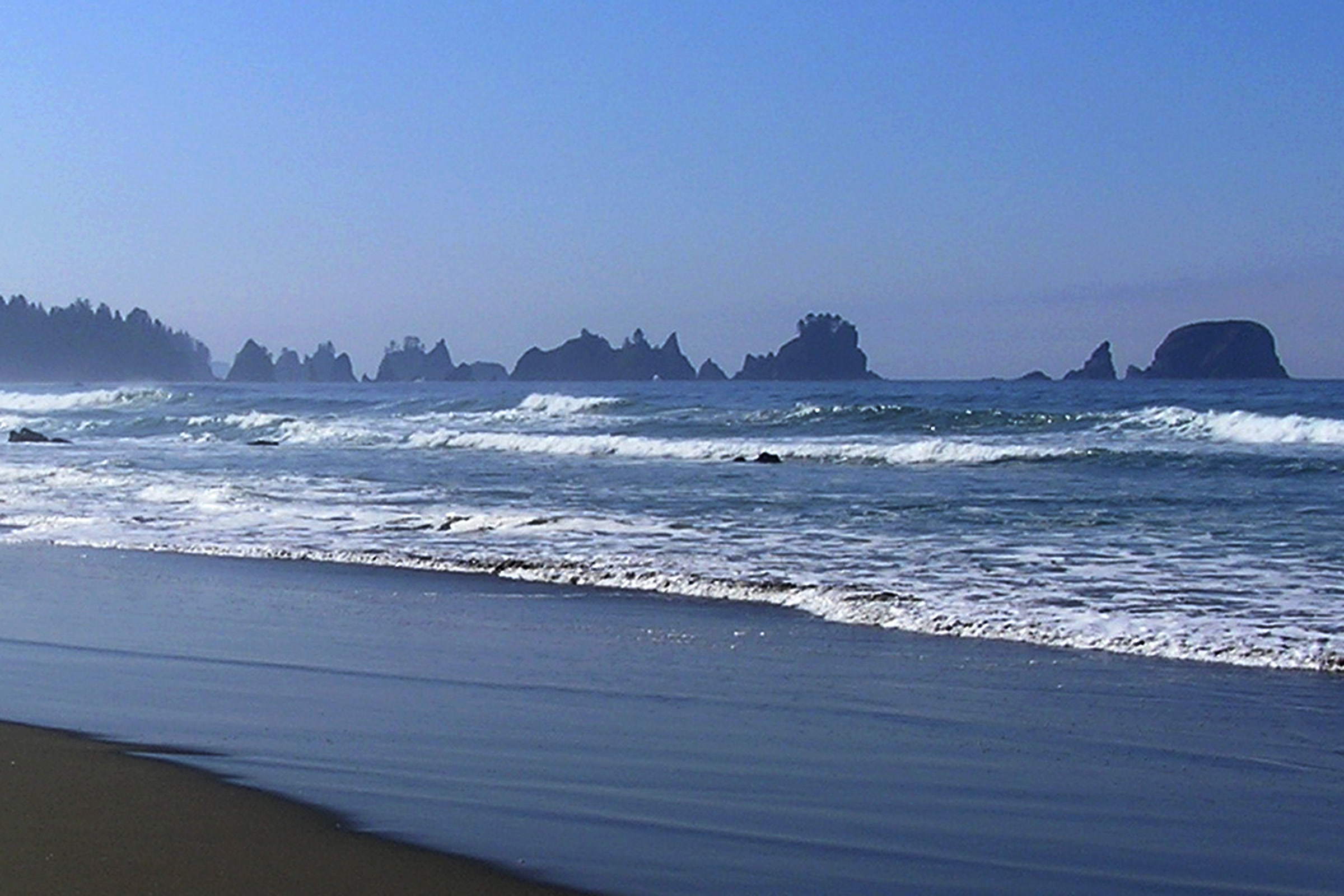 Wide, empty Shi Shi Beach with dark wet sand, rows of white surf and a line of distant sea stacks under a clear blue sky