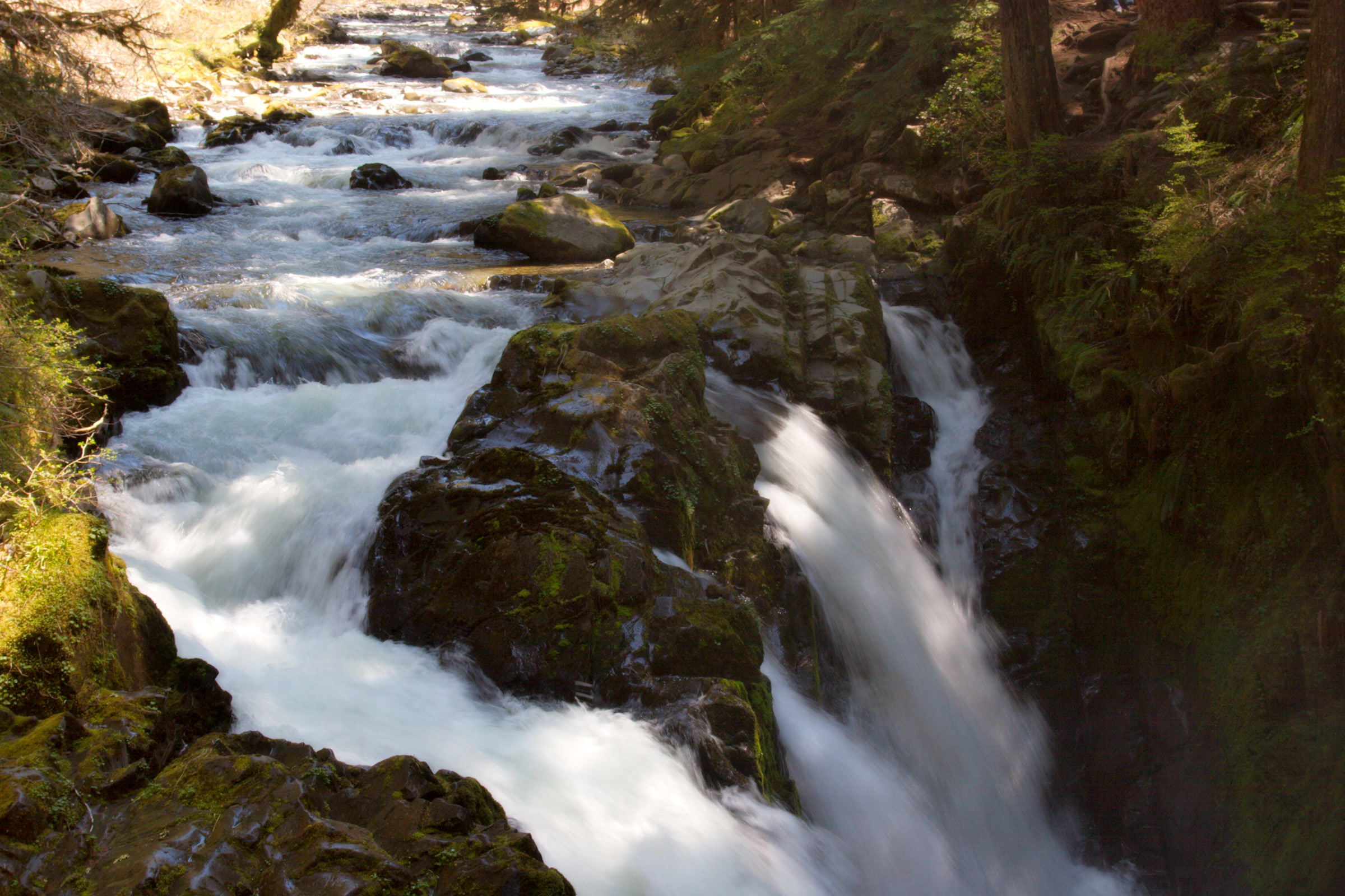 Sol Duc Falls splitting into separate channels around a dark rock as the river drops into the canyon
