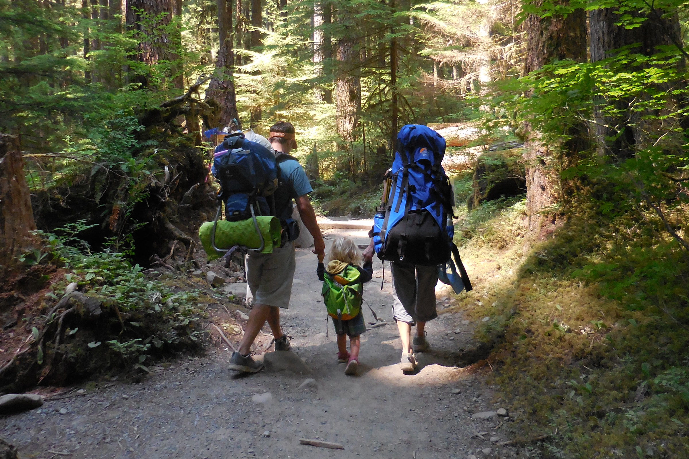 Two adults with large backpacks walk a forest trail in the Sol Duc valley holding hands with a small child between them