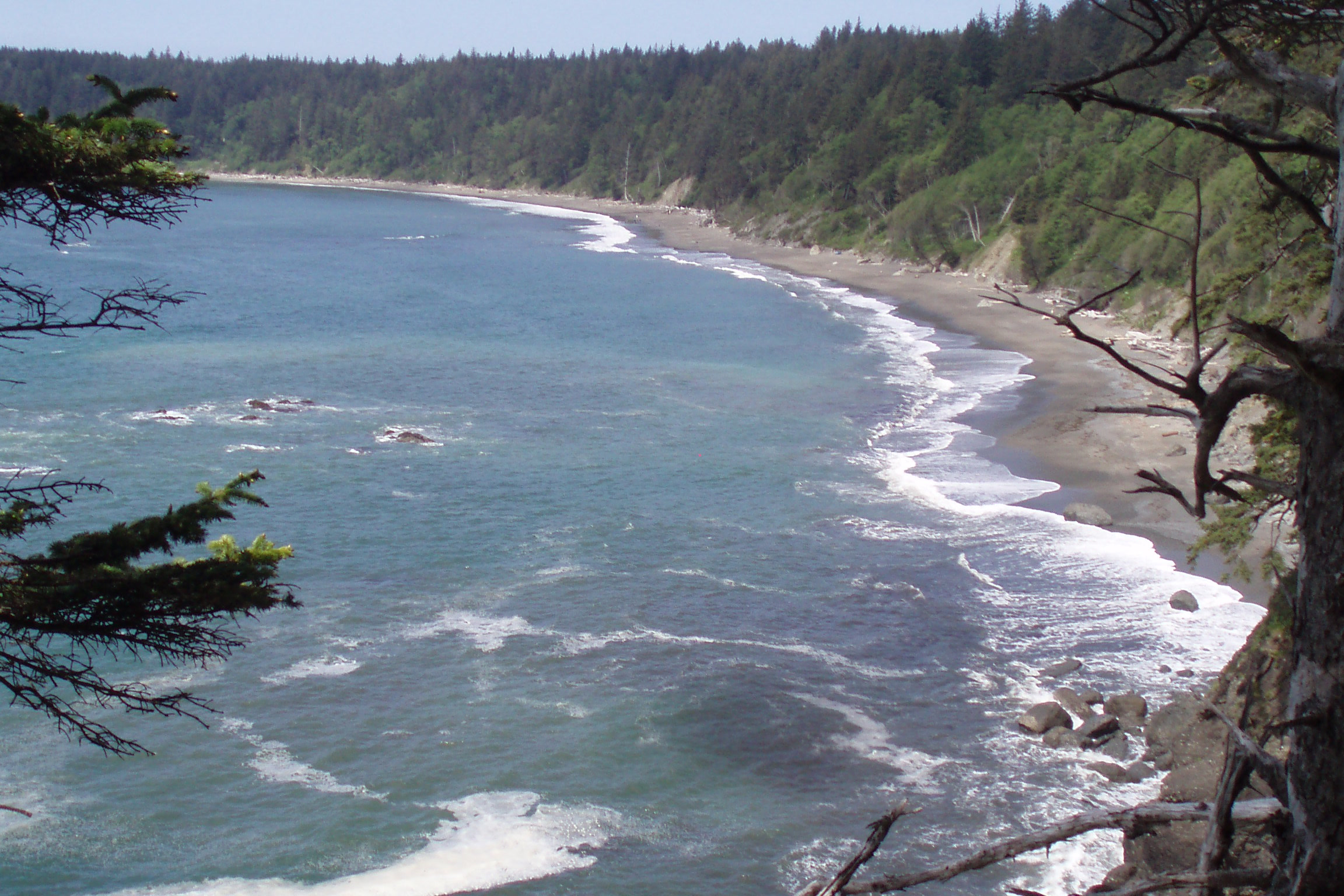A long curving wilderness beach on the Olympic South Coast seen from a forested bluff, with surf and offshore rocks