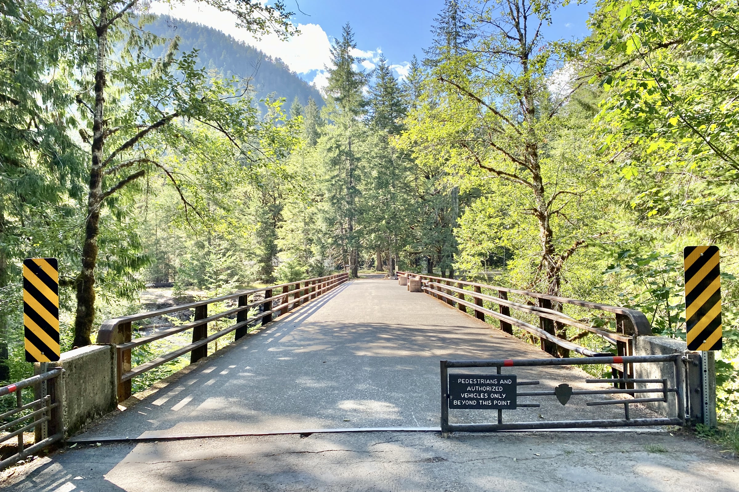 A gated wooden road bridge over the Skokomish River at Staircase, framed by sunlit maples and a forested ridge