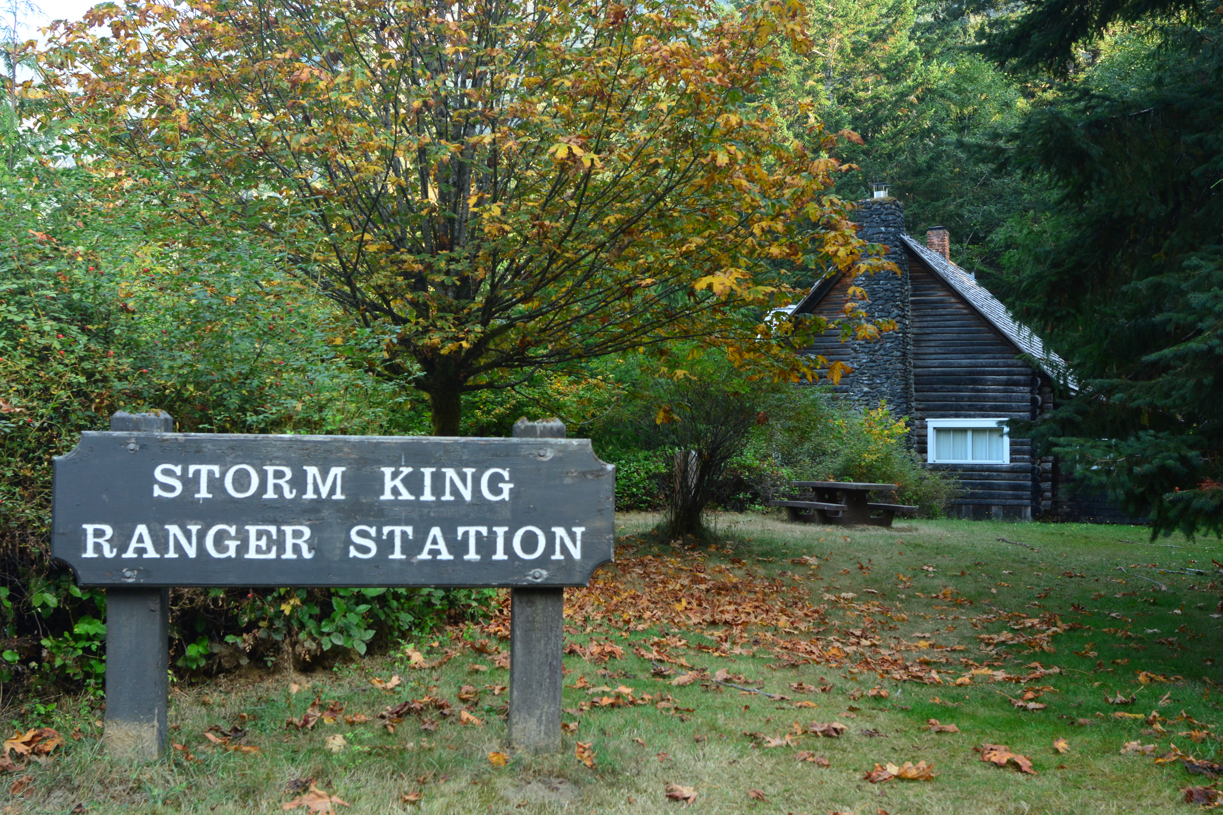 Wooden Storm King Ranger Station sign on a lawn scattered with fallen leaves, with the log ranger station under autumn maples behind