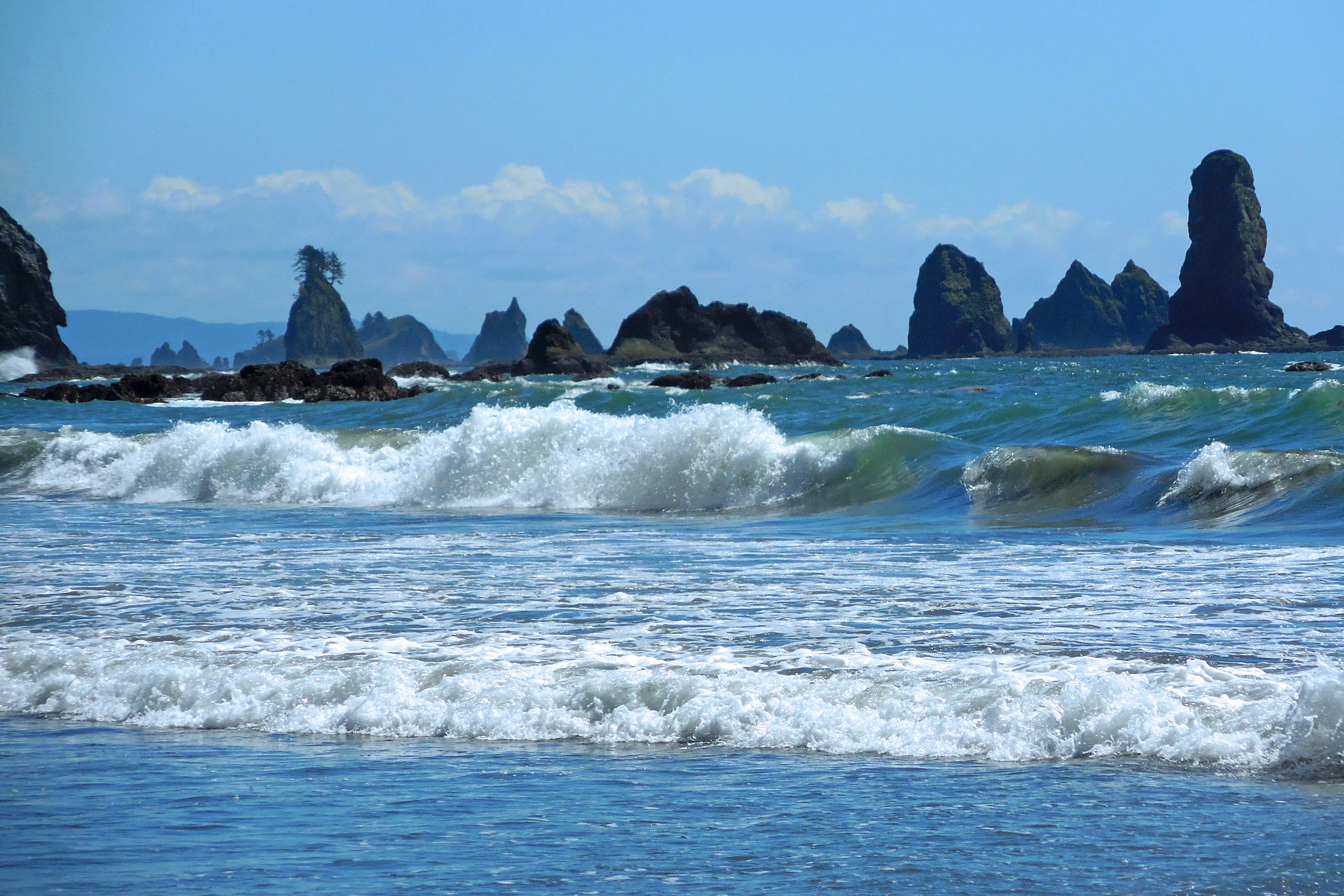 Waves rolling onto Third Beach near La Push with a row of jagged, tree topped sea stacks offshore under a blue sky