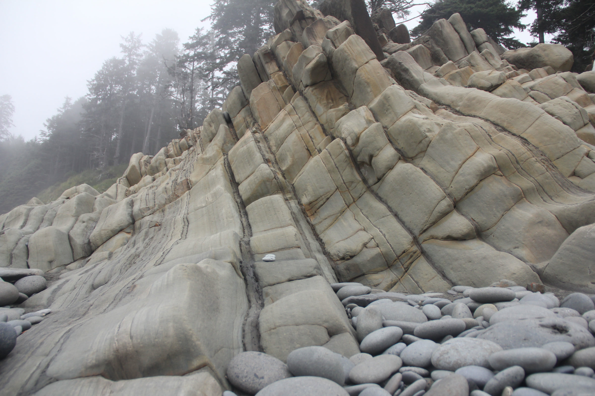 Steeply tilted beds of pale grey sandstone rising from a beach of smooth round cobbles, with misty forest above