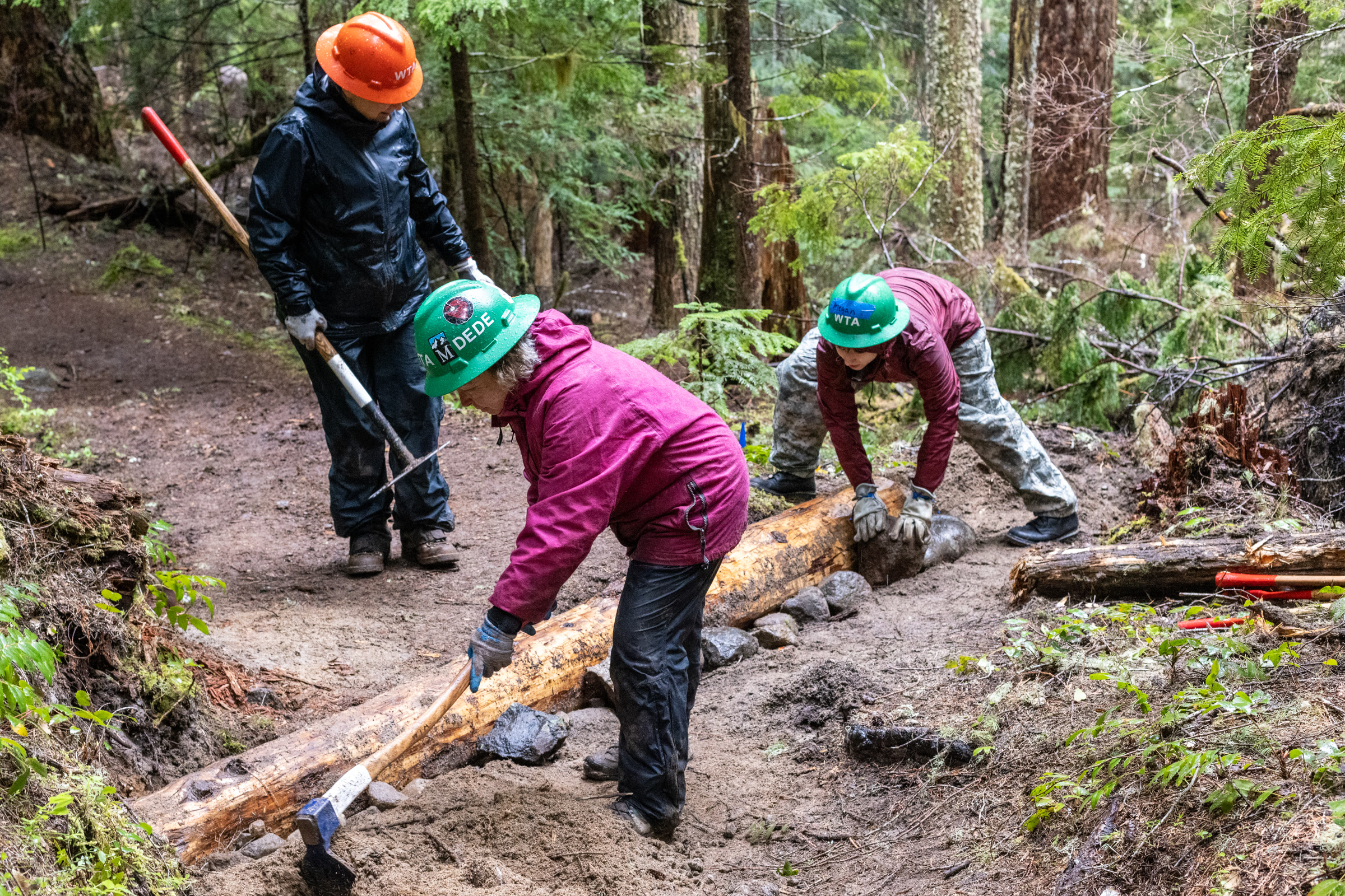 Three volunteers in hard hats use bars and gloved hands to set a log into a forest trail on the Eagle Peak Trail at Mount Rainier