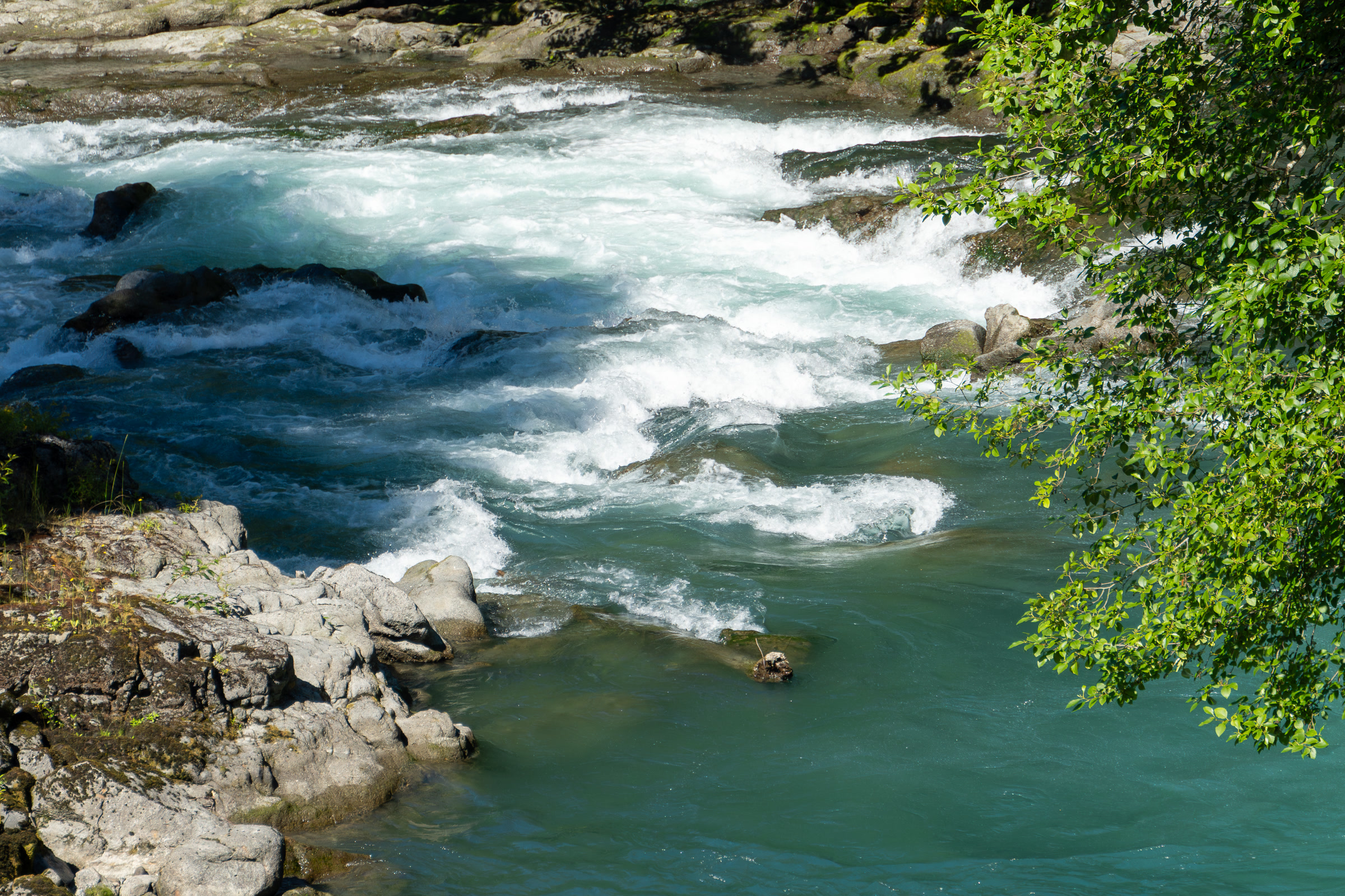 The turquoise Elwha River running through a rocky, forested canyon just below a former dam site in July 2022