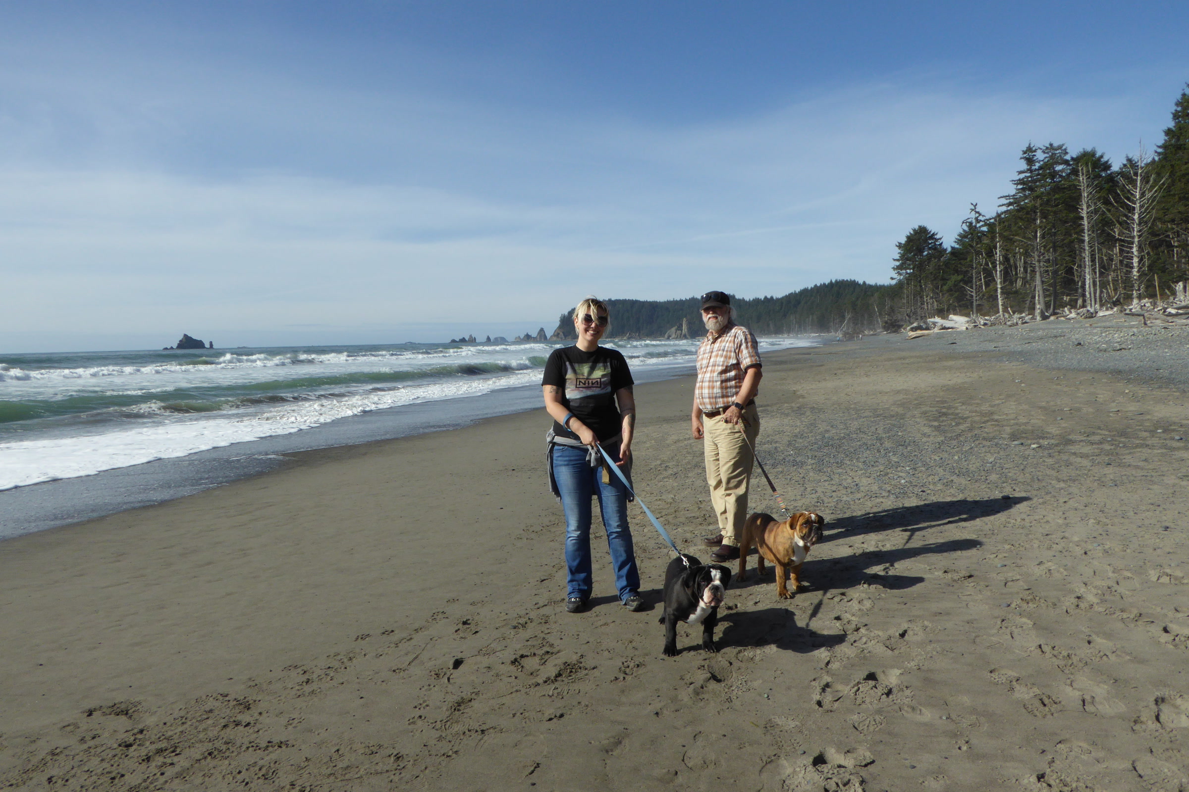 Two visitors walk two leashed dogs on the sand at Rialto Beach, with surf, sea stacks and coastal forest behind