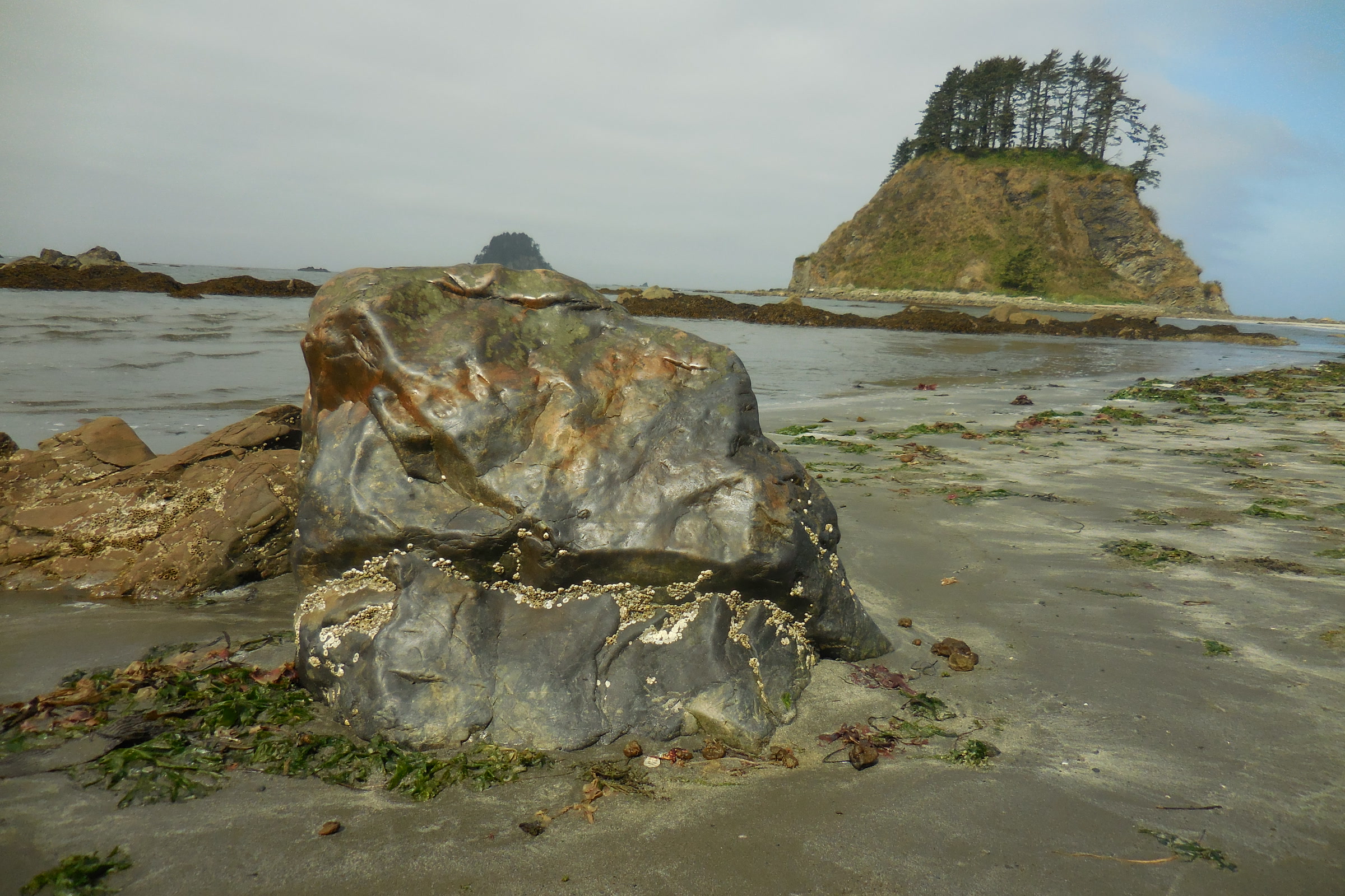 Dark boulders on a sandy beach at low tide with a tree covered island offshore near Cape Alava