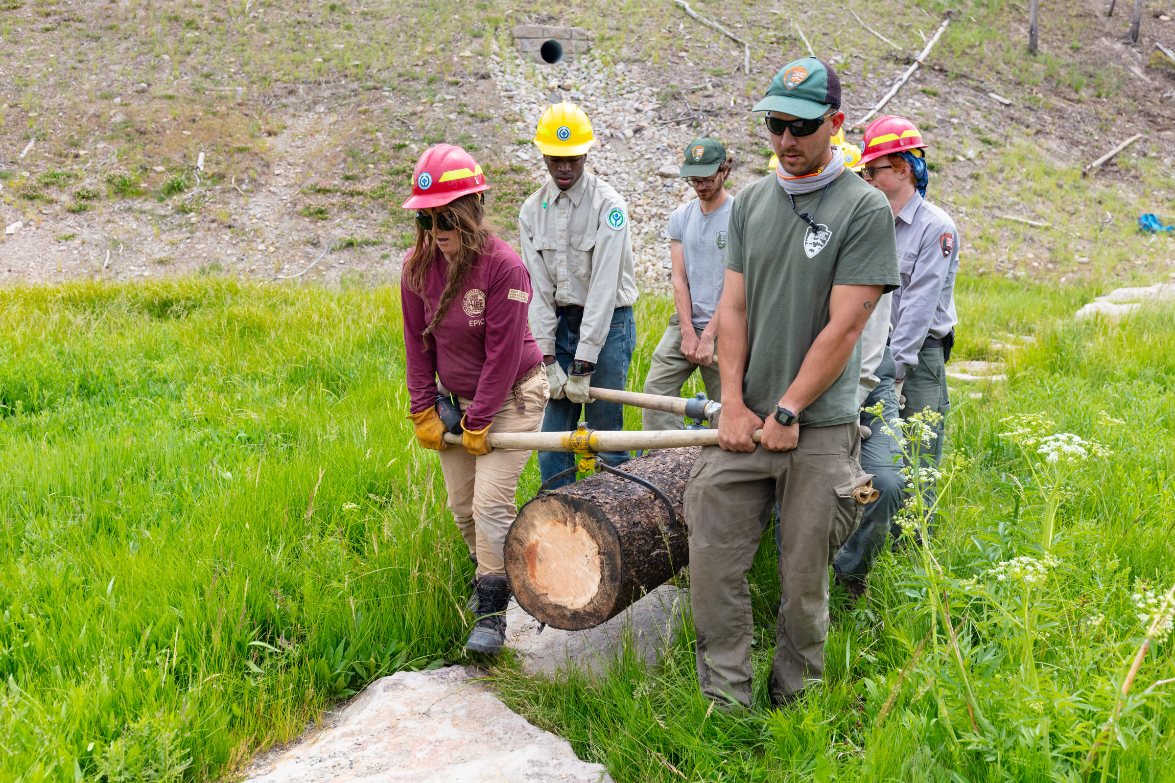 A youth crew in hard hats carries a heavy log on timber carriers across a green meadow beside a park trail crew leader